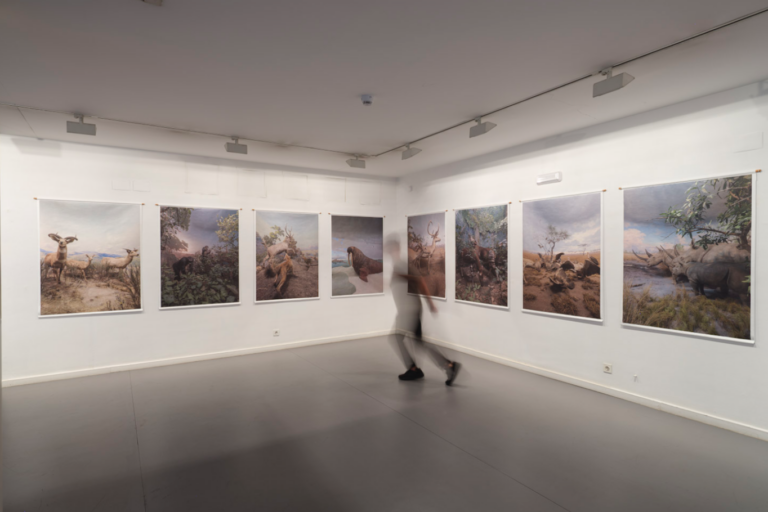 sasha-asensio-dioramas-Daniel Belinchon (6)